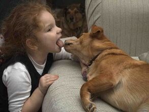 dítě políbí psa a nakazí se parazity
